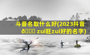 斗音名取什么好(2023抖音 🐒 zui
旺zui
好的名字)
